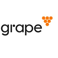 Grape - DAG-Based Layer 1 Network logo - Similar company to Synthetify