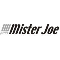 Mister Joe Srl logo - Similar company to Polipeli