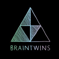 BrainTwins logo - Similar company to Intrasect