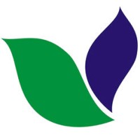 Minna Padi Aset Manajemen logo - Similar company to Indonesia Brain