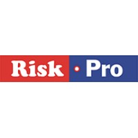 Riskpro India logo - Similar company to Securelayerx