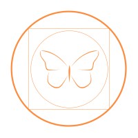 Squircle Academy