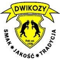 ZPOW Dwikozy S.A. logo - Similar company to Zpow Strzelin