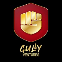Gully Ventures logo - Similar company to Jbd Mart