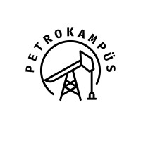 PetroKampus logo - Similar company to Berkeley Ventures
