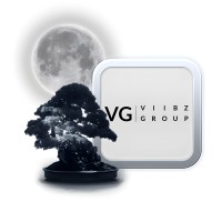 VIIBZ Group logo - Similar company to Invisible Touch Events