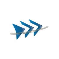 Robustedge Software & Digital Networks Pvt. Ltd. logo - Similar company to Dsm Online