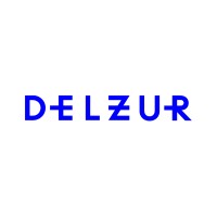 Delzur logo - Similar company to Hadithi Crafts
