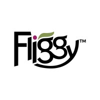 Fliggy KwaZulu-Natal - Seriously Organised logo - Similar company to Scandihills Camping & Outdoor