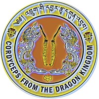 CORDYCEPS FROM THE DRAGON KINGDOM logo - Similar company to Btnog