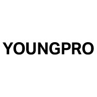 YoungPro Consulting logo - Similar company to Clevis