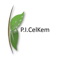 P.I.CelKem logo - Similar company to Houston Enzymes