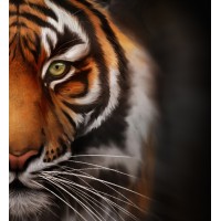 Tiger Correctional Services logo - Similar company to Gateway Apps
