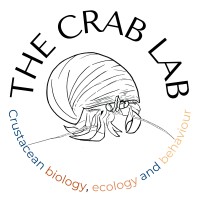 The Crab Lab logo - Similar company to Rocket57 - The Startup Launchpad