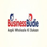 BusinessBudie logo - Similar company to Stanlee India