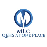 ML Consultancy logo - Similar company to Mfdevco