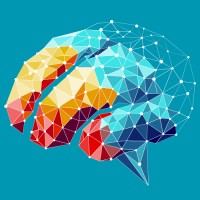 Neural Data Lab logo - Similar company to Data Build Technologies Llc