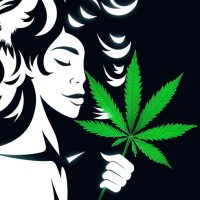 Hightails, LLC logo - Similar company to One59