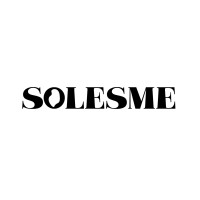 SOLESME logo - Similar company to Web Theorie