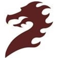 Dragon RS logo - Similar company to Cellstorage