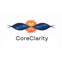 CoreClarity logo - Similar company to Coreclarity, Inc.