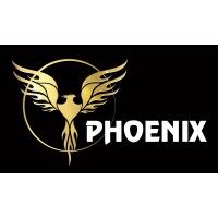 Phoenix Accounting Solutions logo - Similar company to Vision Business Consulting