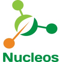 Nucleos Group logo - Similar company to Colvetec Sas