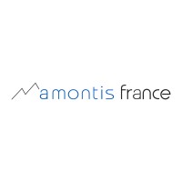 amontis france logo - Similar company to Alliance Cluses Interim