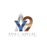 AY9 Capital logo - Similar company to Athena Decision Systems