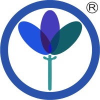 Mograsys Technologies logo - Similar company to Anklyticx