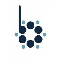 Boost Digital Marketing Agency logo - Similar company to Kindle Solutions