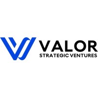 Valor Strategic Ventures logo - Similar company to Theo Advisors
