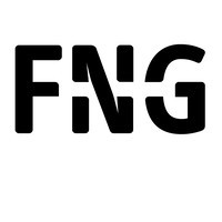 FNG Group logo - Similar company to Skm.Mode