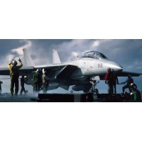 F-14 Tomcat Association