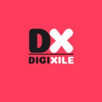 DigiXile logo - Similar company to Nextstrategy.In