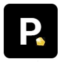 Pépite consulting logo - Similar company to Synchro