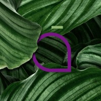 Aobá Upcycling logo - Similar company to Materialab Srl