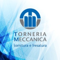 Torneria Meccanica Srl logo - Similar company to Torneria Montesi Srl