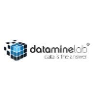Datamine Lab