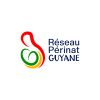 DSR Périnat Guyane logo - Similar company to Logistock Guyane