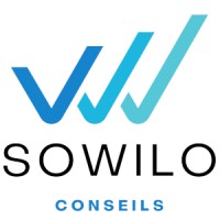 SOWILO CONSEILS logo - Similar company to Link Bytes
