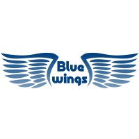 Blue Wings logo - Similar company to Emulink