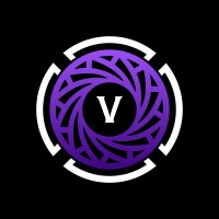 Viztron logo - Similar company to Pycorp