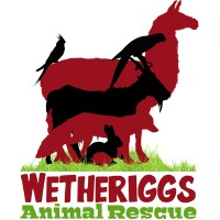 Wetheriggs Animal Rescue logo - Similar company to Saving Strays Animal Rescue