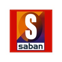 The Saban Engineering Group, Inc., a certified MBE, DBE Firm logo - Similar company to Macnew Consulting, Sba 8A Certified, Wosb