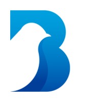 Bluexperts logo - Similar company to Iqualy