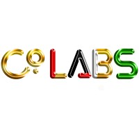 Co-Labs Guyana logo - Similar company to Woolford And S.B.L Consultancy
