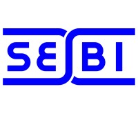 Groupe SEBI logo - Similar company to Ravimo Shark
