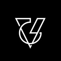 Vivid Virtual Creations logo - Similar company to Steven Boyer