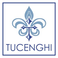 Tuceghi Business Consulting logo - Similar company to Datamas